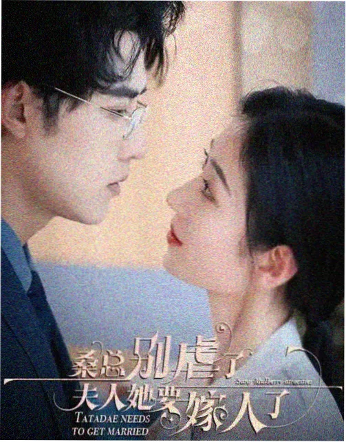 风起陇西·暗影 电视剧在线观看