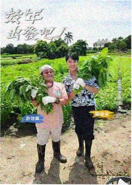 乘风破浪的姐姐·第六季 综艺在线观看